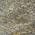 Gold color or pattern variation