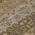 Chocolate color or pattern variation