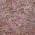 Pink color or pattern variation