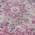 Purple color or pattern variation