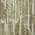 Olive color or pattern variation