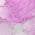 Pink and Ivory color or pattern variation