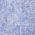 Blue color or pattern variation
