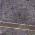 Plum color or pattern variation