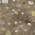 Brown color or pattern variation