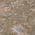 Brown color or pattern variation