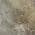 Beige color or pattern variation