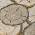 Khaki color or pattern variation