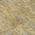 Khaki color or pattern variation