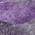 Purple color or pattern variation