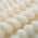Ivory color or pattern variation