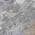 Gray color or pattern variation