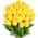 Yellow color or pattern variation