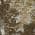 Brown color or pattern variation