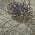 Pewter color or pattern variation