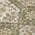 Olive color or pattern variation