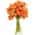 Orange color or pattern variation