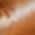 Light Brown color or pattern variation