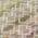 Ivory color or pattern variation
