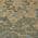 Olive color or pattern variation