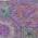 Purple color or pattern variation