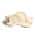 Beige color or pattern variation