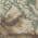 Brown color or pattern variation