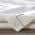 Excursion Ivory color or pattern variation
