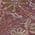 Eggplant color or pattern variation