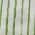 Green color or pattern variation