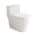 White color or pattern variation