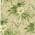 Jungle color or pattern variation