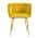 Yellow color or pattern variation