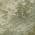 Green color or pattern variation