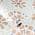 Colored color or pattern variation