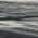 Gray color or pattern variation