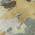 Gold color or pattern variation