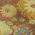 Terracotta color or pattern variation