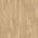 Norwyn Blonde Acacia color or pattern variation