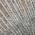 Gray color or pattern variation