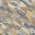 Gray color or pattern variation