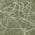Olive color or pattern variation