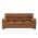 Light Brown color or pattern variation