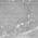 Gray color or pattern variation