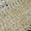 Black color or pattern variation