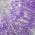 PURPLE color or pattern variation