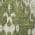 Olive color or pattern variation