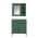 Green color or pattern variation