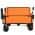 Orange color or pattern variation