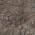 Brown color or pattern variation